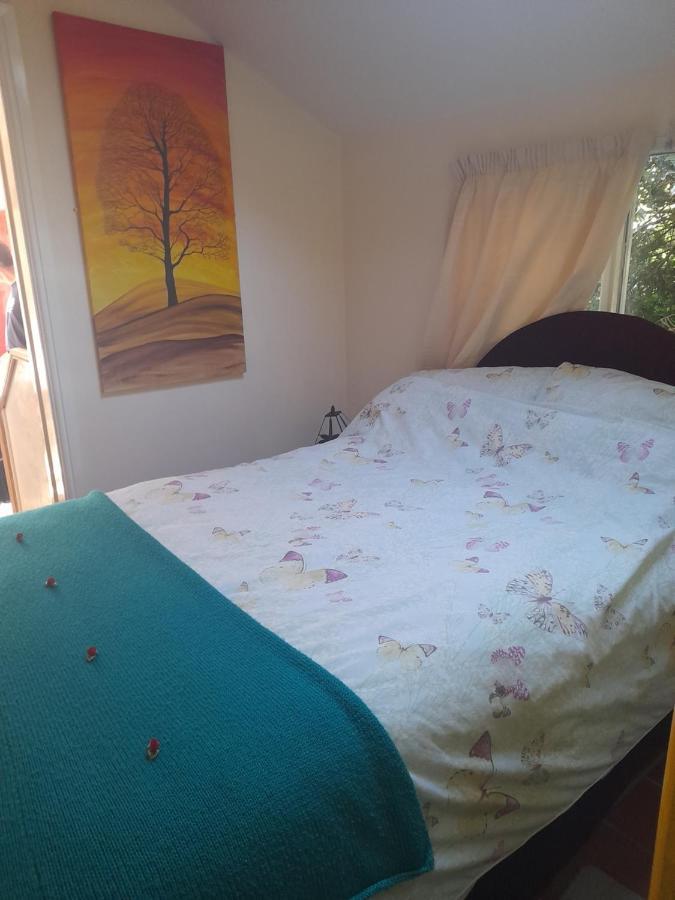 Janet Hale Studios, Garden Apartment Глостънбъри Екстериор снимка
