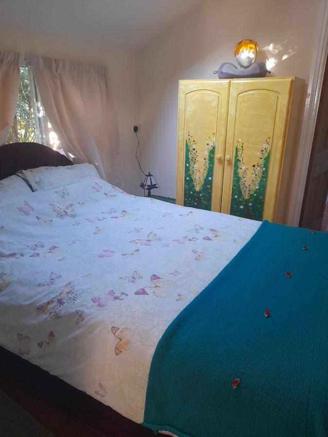 Janet Hale Studios, Garden Apartment Глостънбъри Екстериор снимка